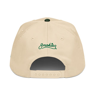 Since 2010 5 panel cap