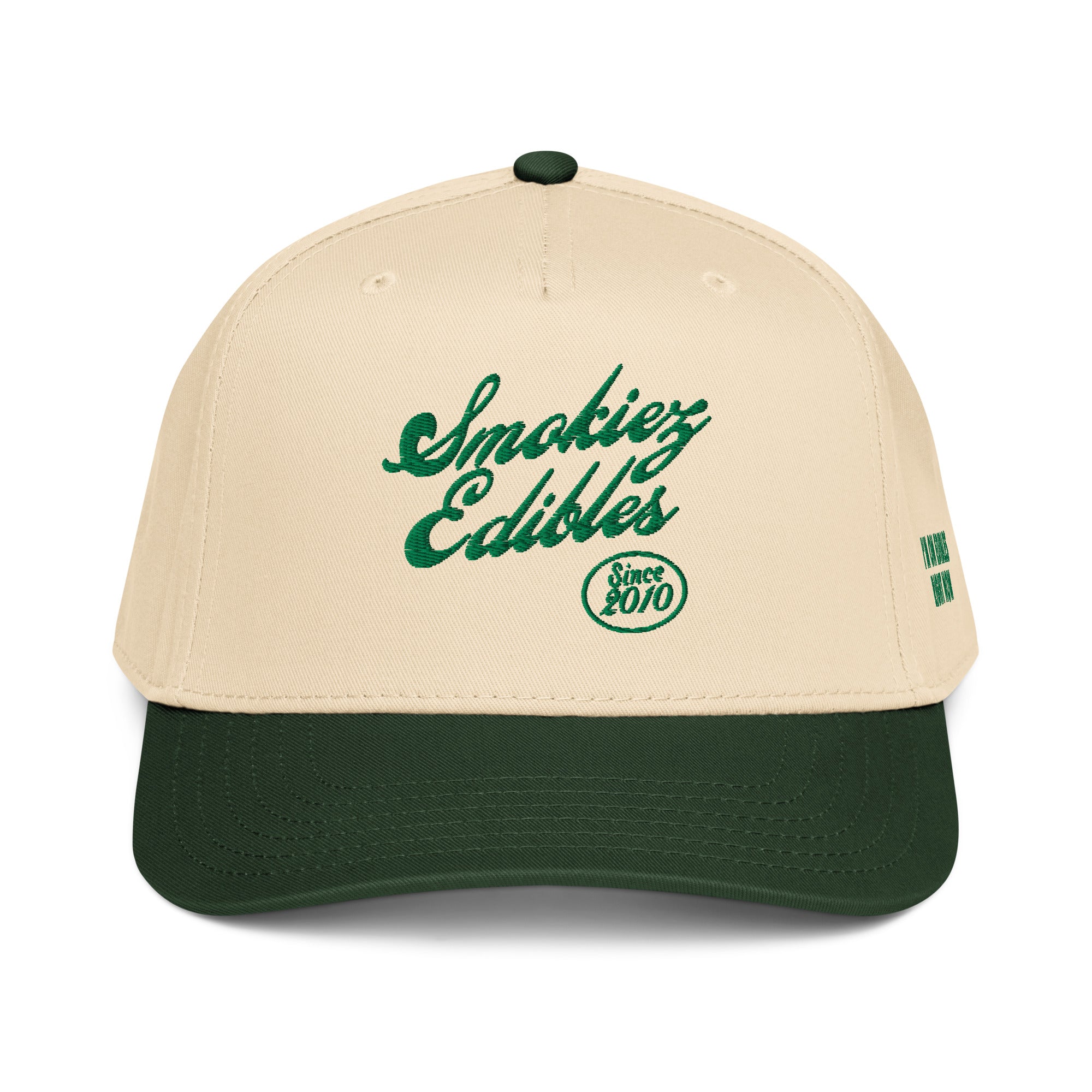 Since 2010 5 panel cap